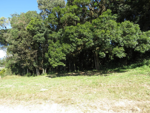 Imagem Terreno à Venda, 36.260 m² em Colonia Murici - São José Dos Pinhais Imagem Terreno à Venda, 36.260 m² em Colonia Murici - São José Dos Pinhais