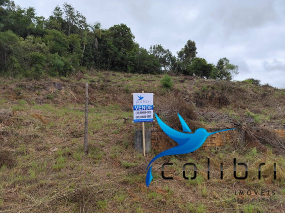 Imagem Chácara à Venda, 1.626 m² em Ximbuva - Agudos Do Sul