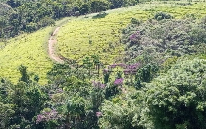 Imagem Imóvel com 3 Quartos à Venda, 200 m² em Zona Norte - São José Dos Campos Imagem Imóvel com 3 Quartos à Venda, 200 m² em Zona Norte - São José Dos Campos