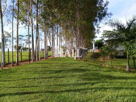 Imagem Fazenda à Venda, 500 m² em Centro - Bálsamo