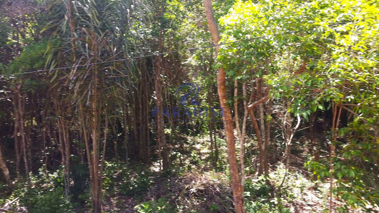 Imagem Terreno à Venda, 2.160 m² em Açu Da Torre - Mata De São João Imagem Terreno à Venda, 2.160 m² em Açu Da Torre - Mata De São João