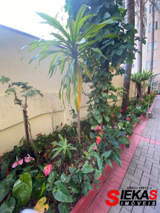 Imagem Apartamento com 2 Quartos à Venda, 48 m² em Penha - São Paulo Imagem Apartamento com 2 Quartos à Venda, 48 m² em Penha - São Paulo