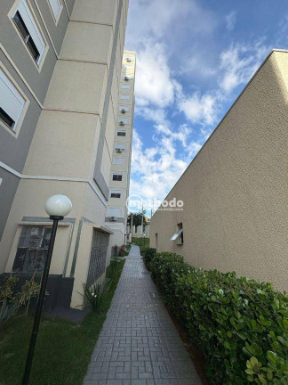 Imagem Apartamento com 2 Quartos à Venda, 52 m² em Jardim Nova Europa - Campinas Imagem Apartamento com 2 Quartos à Venda, 52 m² em Jardim Nova Europa - Campinas