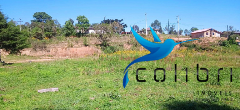 Imagem Chácara com 3 Quartos à Venda, 10.300 m² em Agua Clara - Quitandinha