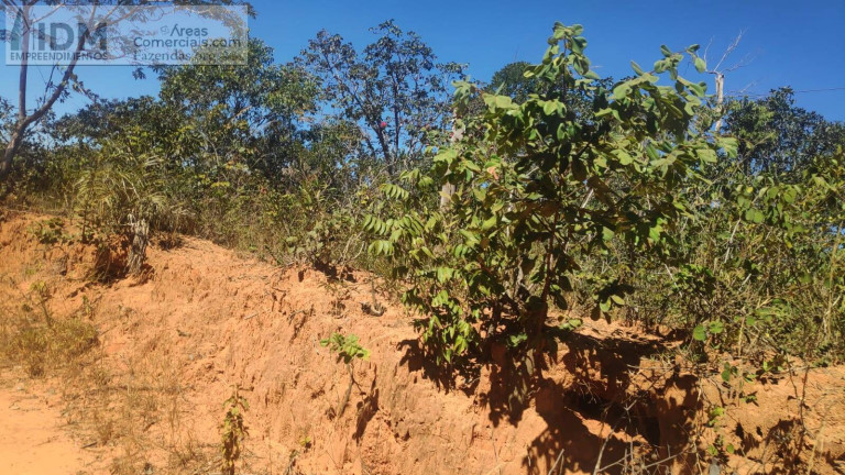 Imagem Chácara à Venda, 49.500.000 m² em Centro - Buritizeiro Imagem Chácara à Venda, 49.500.000 m² em Centro - Buritizeiro
