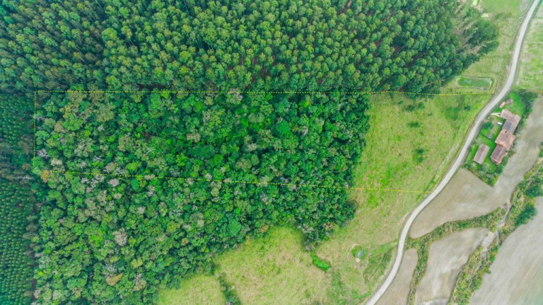 Imóvel à Venda, 20.000 m² em Zona Rural - Agrolândia