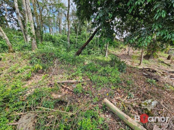 Imagem Terreno à Venda, 594 m² em Escola Agrícola - Blumenau Imagem Terreno à Venda, 594 m² em Escola Agrícola - Blumenau