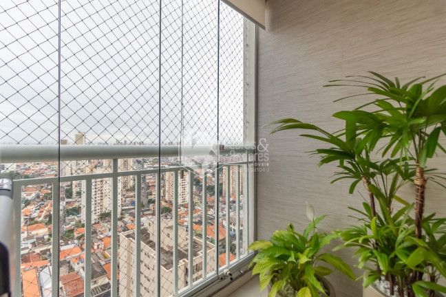 Imagem Apartamento com 3 Quartos à Venda, 65 m² em Vila Vera - São Paulo