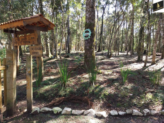 Imagem Imóvel com 5 Quartos à Venda, 30.000 m² em Margens Ro Da Varzea - Quitandinha