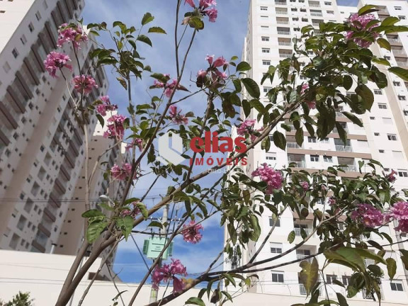 Imagem Apartamento com 2 Quartos à Venda, 59 m² em Parque Residencial Das Camélias - Bauru