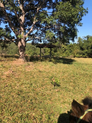 Imagem Fazenda à Venda, 229.899 m² em Centro - Córrego Do Ouro Imagem Fazenda à Venda, 229.899 m² em Centro - Córrego Do Ouro