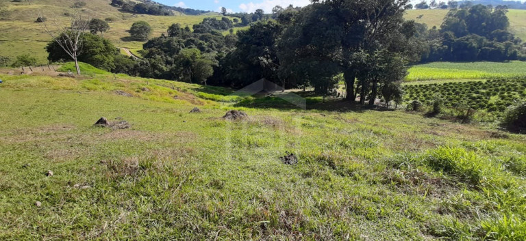 Imóvel à Venda, 3 m² em Milho Verde - Bandeira Do Sul