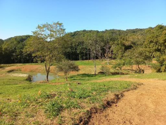 Imagem Imóvel com 4 Quartos à Venda, 68.000 m² em Centro - Morretes 