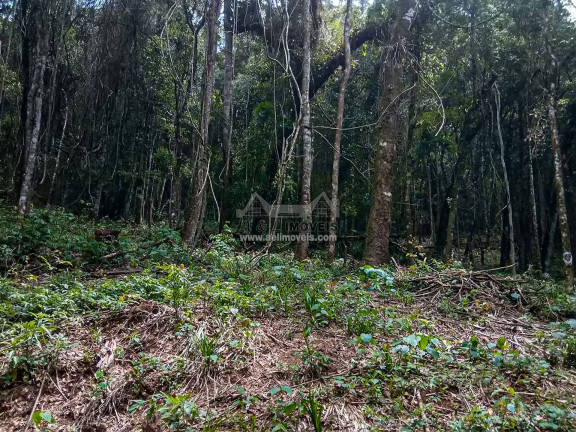 Imagem Terreno à Venda, 1 m² em Nova Capivari - Campos Do Jordão Imagem Terreno à Venda, 1 m² em Nova Capivari - Campos Do Jordão