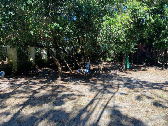 Imagem Terreno à Venda, em Centro Da Praia De Pipa - Tibau Do Sul Imagem Terreno à Venda, em Centro Da Praia De Pipa - Tibau Do Sul