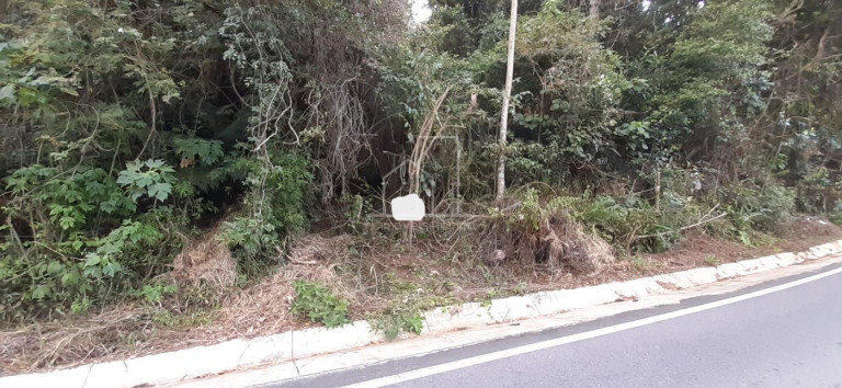 Imagem Terreno à Venda, 600 m² em São João Do Rio Vermelho - Florianópolis Imagem Terreno à Venda, 600 m² em São João Do Rio Vermelho - Florianópolis