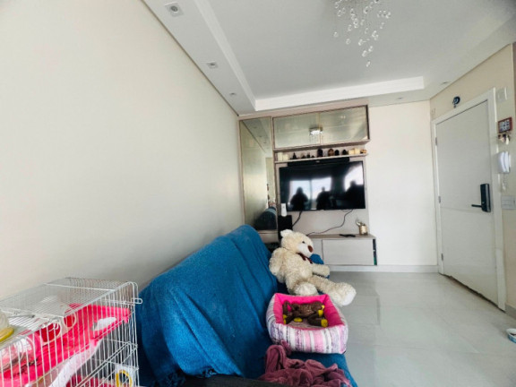 Imagem Apartamento com 3 Quartos à Venda, 75 m² em Conjunto Residencial Trinta E Um De Março - São José Dos Campos Imagem Apartamento com 3 Quartos à Venda, 75 m² em Conjunto Residencial Trinta E Um De Março - São José Dos Campos