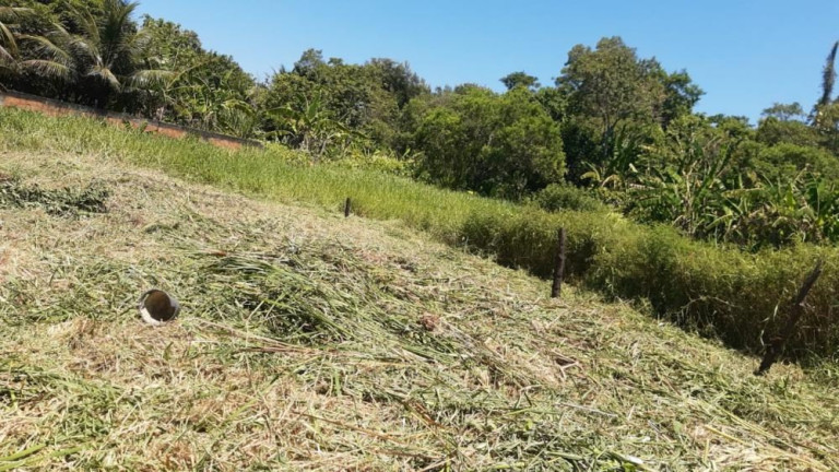 Imagem Imóvel à Venda, 3.100 m² em Guaratiba - Rio De Janeiro Imagem Imóvel à Venda, 3.100 m² em Guaratiba - Rio De Janeiro