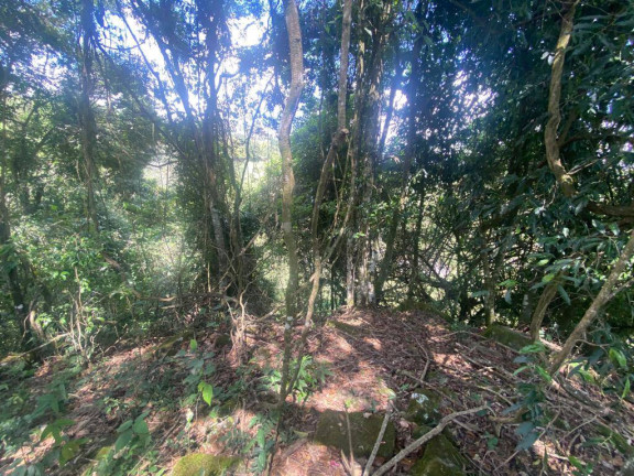Imagem Terreno à Venda, 3 m² em Santa Terezinha De Minas - Itatiaiuçu