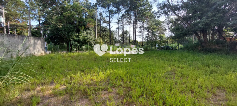 Imagem Terreno à Venda, 1.000 m² em Vila Omízollo - Louveira