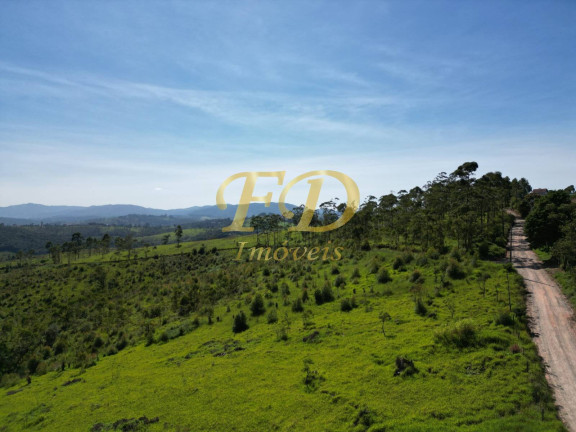 Imagem Imóvel Comercial à Venda, 380.000 m² em Terra Preta - Mairiporã