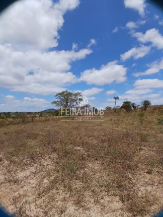 Imagem Terreno à Venda, 13.750 m² em Centro - Feira De Santana Imagem Terreno à Venda, 13.750 m² em Centro - Feira De Santana