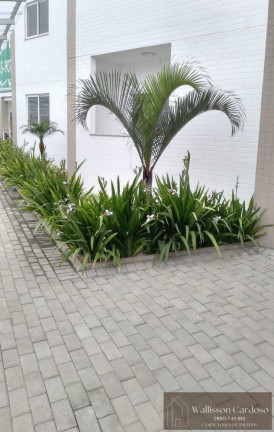 Imagem Apartamento com 2 Quartos à Venda, 70 m² em Várzea Do Ranchinho - Camboriú