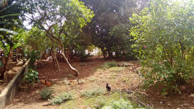 Imagem Terreno à Venda, 1.000 m² em Fazenda Morumbi - São Paulo Imagem Terreno à Venda, 1.000 m² em Fazenda Morumbi - São Paulo
