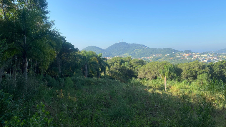 Imagem Terreno à Venda, 61.000 m² em Ambrósio - Garopaba