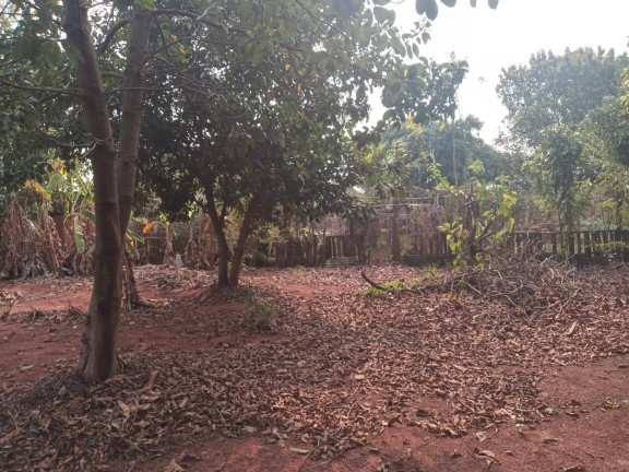 Imagem Chácara à Venda, 2 m² em Vilagio Das Palmeiras - Sabáudia Imagem Chácara à Venda, 2 m² em Vilagio Das Palmeiras - Sabáudia