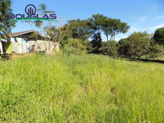Imagem Imóvel Comercial à Venda, 5.000 m² em águas Claras - Viamão Imagem Imóvel Comercial à Venda, 5.000 m² em águas Claras - Viamão