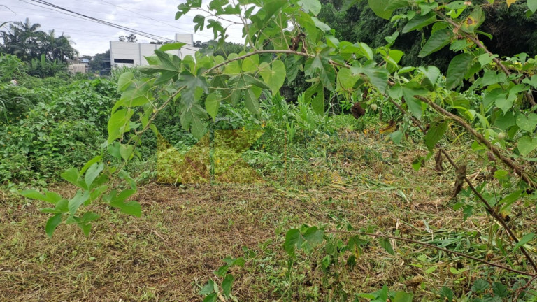 Imagem Imóvel à Venda, 693 m² em Garcia - Blumenau