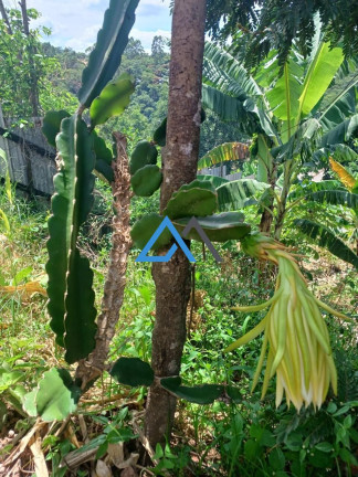 Imagem Terreno à Venda, 300 m² em Terra Preta - Mairiporã Imagem Terreno à Venda, 300 m² em Terra Preta - Mairiporã