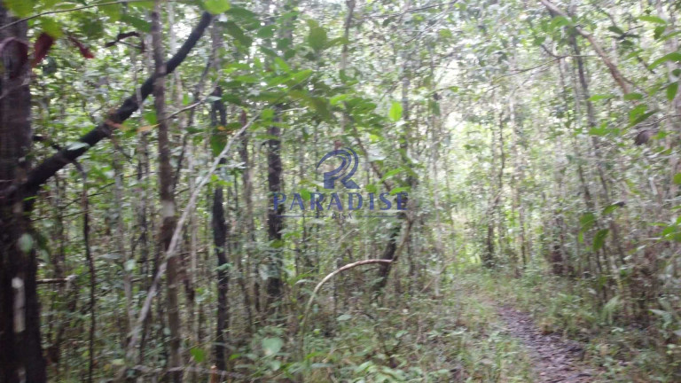 Imagem Fazenda à Venda, 20.000 m² em Barra Do Pojuca - Camaçari Imagem Fazenda à Venda, 20.000 m² em Barra Do Pojuca - Camaçari