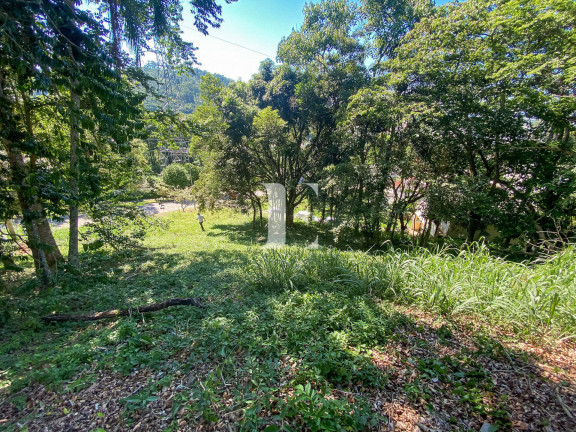 Imagem Terreno à Venda, 700 m² em Córrego Grande - Florianópolis Imagem Terreno à Venda, 700 m² em Córrego Grande - Florianópolis