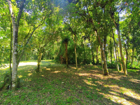 Imagem Chácara à Venda, 6.000 m² em Loteamento Chácara Chantecler - Piraquara Imagem Chácara à Venda, 6.000 m² em Loteamento Chácara Chantecler - Piraquara