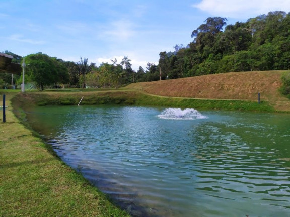 Imagem Imóvel com 3 Quartos à Venda,  em Comunidade Rural - Presidente Figueiredo