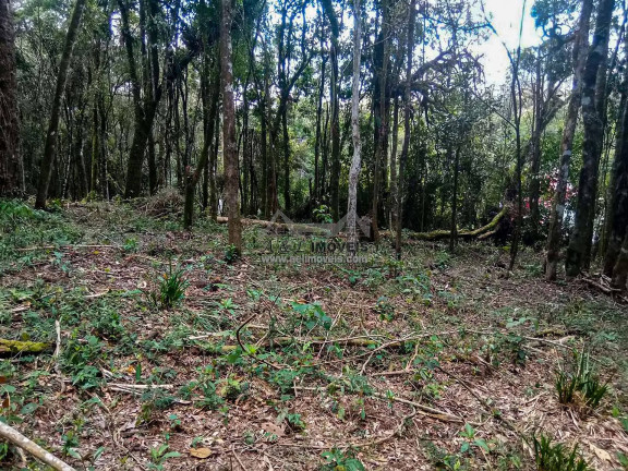 Imagem Terreno à Venda, 1 m² em Nova Capivari - Campos Do Jordão Imagem Terreno à Venda, 1 m² em Nova Capivari - Campos Do Jordão