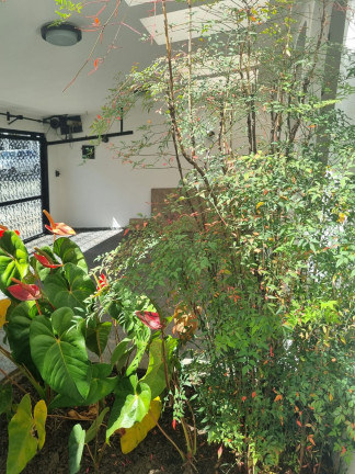 Imagem Casa com 4 Quartos à Venda, 318 m² em Vila Monumento - São Paulo Imagem Casa com 4 Quartos à Venda, 318 m² em Vila Monumento - São Paulo