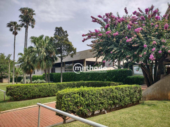 Imagem Sala Comercial para Alugar, 200 m² em Parque Nova Campinas - Campinas Imagem Sala Comercial para Alugar, 200 m² em Parque Nova Campinas - Campinas