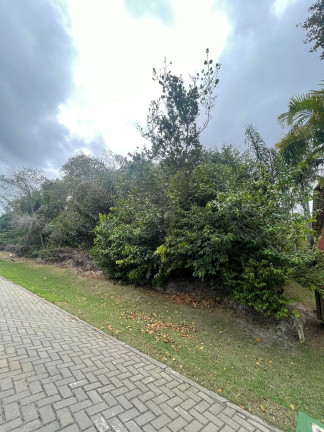 Imagem Terreno à Venda, 800 m² em Praia Do Forte - Mata De São João Imagem Terreno à Venda, 800 m² em Praia Do Forte - Mata De São João