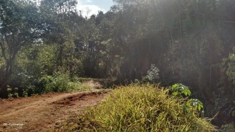 Imagem Terreno à Venda, 10.000 m² em Camanducaia Do Meio - Socorro