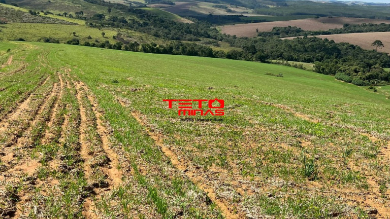 Imagem Imóvel à Venda, em Zona Rural De Zona Rural De Ipuiuna - São Lourenço Imagem Imóvel à Venda, em Zona Rural De Zona Rural De Ipuiuna - São Lourenço