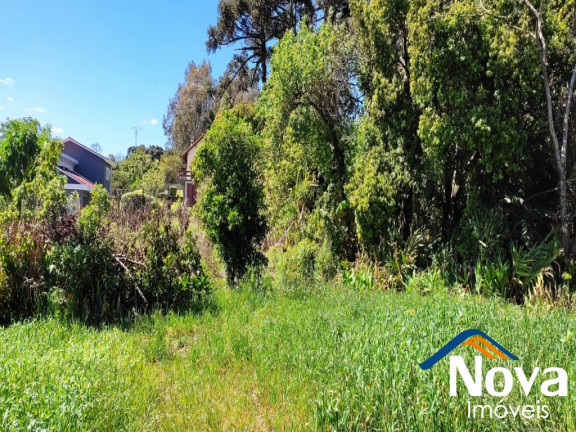 Imagem Imóvel à Venda, 2.200 m² em Recanto Do Sossego - Nova Petrópolis Imagem Imóvel à Venda, 2.200 m² em Recanto Do Sossego - Nova Petrópolis