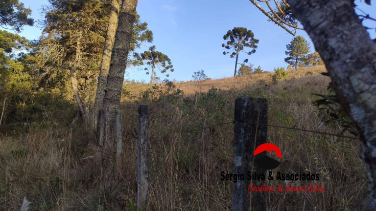 Imagem Terreno à Venda, 906 m² em Campos Do Jordão Imagem Terreno à Venda, 906 m² em Campos Do Jordão