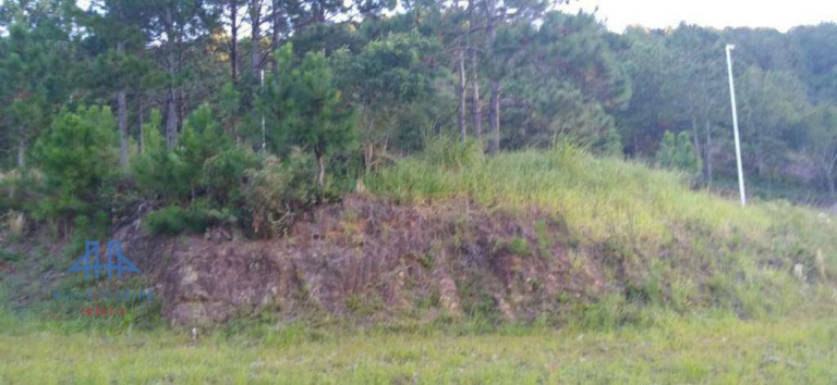 Imagem Terreno à Venda, 886 m² em Itacorubi - Florianópolis Imagem Terreno à Venda, 886 m² em Itacorubi - Florianópolis