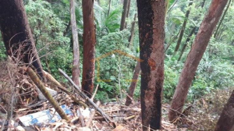 Imagem Terreno à Venda, 3.351 m² em Tucuruvi - São Paulo Imagem Terreno à Venda, 3.351 m² em Tucuruvi - São Paulo