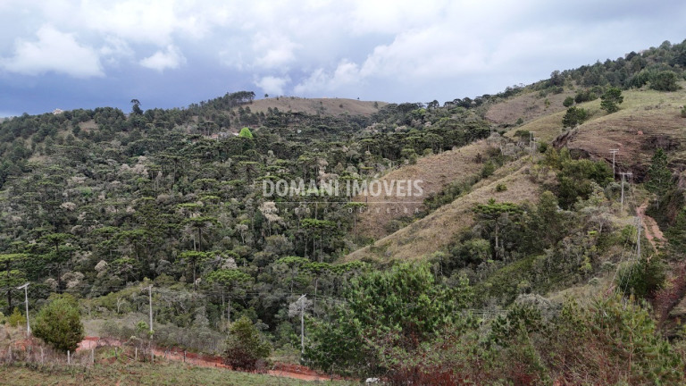 Imagem Terreno à Venda, 1.800 m² em Região De Descansópolis - Campos Do Jordão Imagem Terreno à Venda, 1.800 m² em Região De Descansópolis - Campos Do Jordão