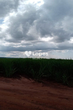 Imagem Imóvel com 1 Quarto à Venda, 310 m² em área Rural De Ribeirão Preto - Ribeirão Preto Imagem Imóvel com 1 Quarto à Venda, 310 m² em área Rural De Ribeirão Preto - Ribeirão Preto