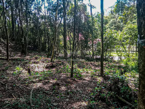 Imagem Terreno à Venda, 1 m² em Nova Capivari - Campos Do Jordão Imagem Terreno à Venda, 1 m² em Nova Capivari - Campos Do Jordão